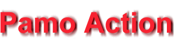 Acc&egrave;s Pamo Action